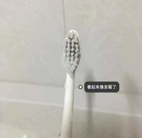 不管多節省，家里這7樣口腔衛生用品要及時扔掉，別覺得可惜