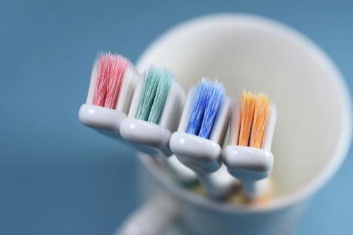 貝醫生巴氏牙刷全新升級，以匠心細節守護口腔健康